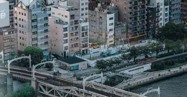 2024年7月18日用神为水喜神为木女孩取名100个精选