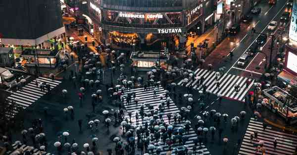 属猪2024年7月20日运势,属猪人2024年7月20日财运,生肖猪2024年7月20日运势