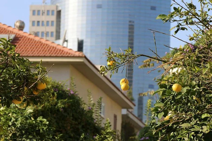 Zoli Keller_Tel Aviv.jpg